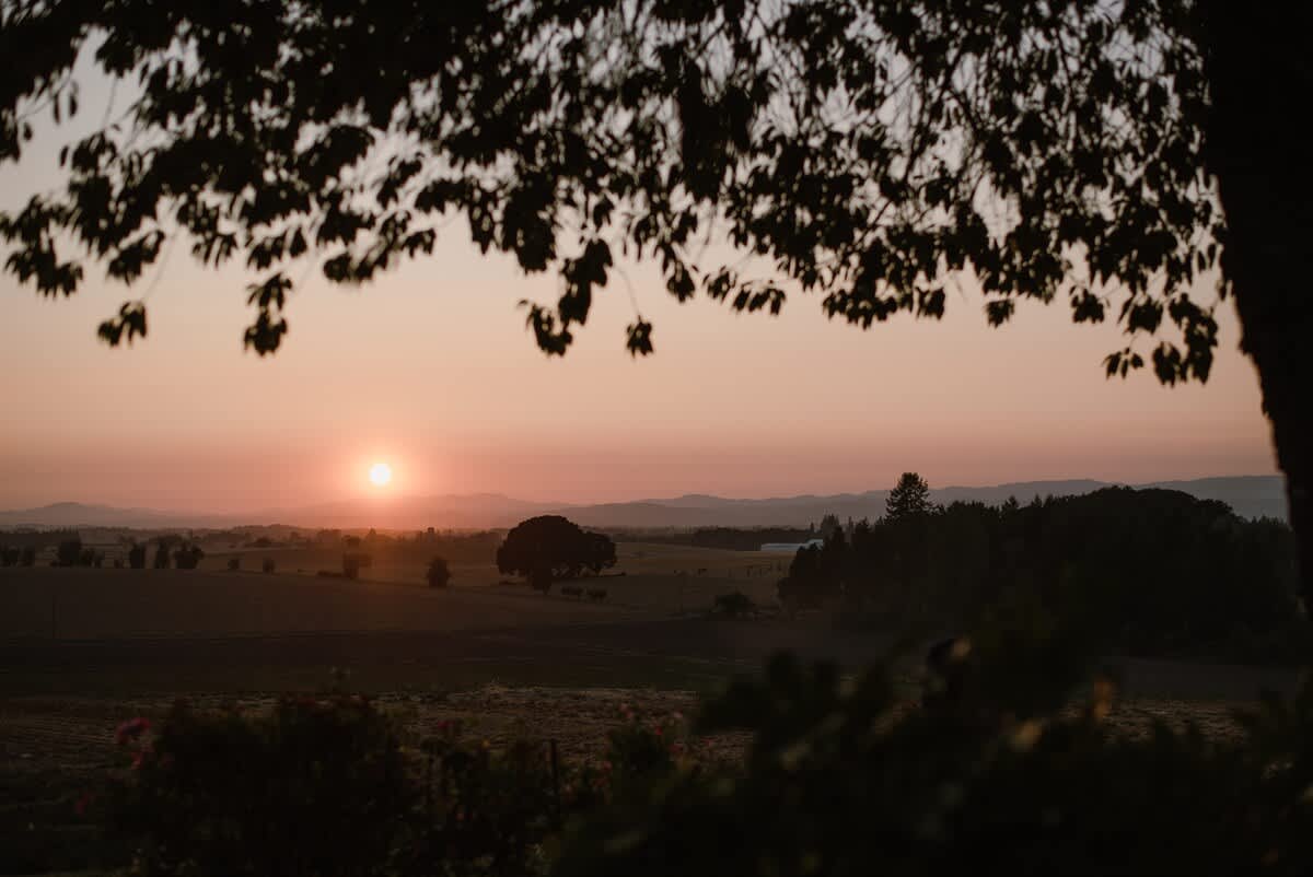 A breathtaking sunset over a vast rural landscape, with the orange sun dipping below distant hills, casting a warm glow over fields and trees, framed by the dark silhouette of tree leaves in the foreground.