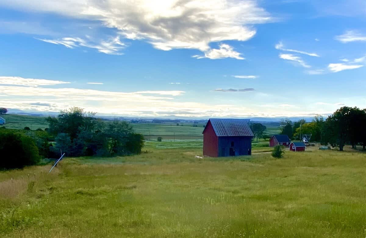 A vibrant red barn stands prominently in a lush green grassy field, with smaller red outbuildings scattered in the distance, all set against a backdrop of rolling hills and a bright blue sky with fluffy white clouds.