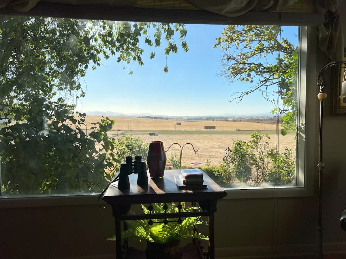 Panoramic view of vast agricultural fields and distant hills, framed by a large window with a small wooden side table holding binoculars and a decorative vase, emphasizing the rural setting.