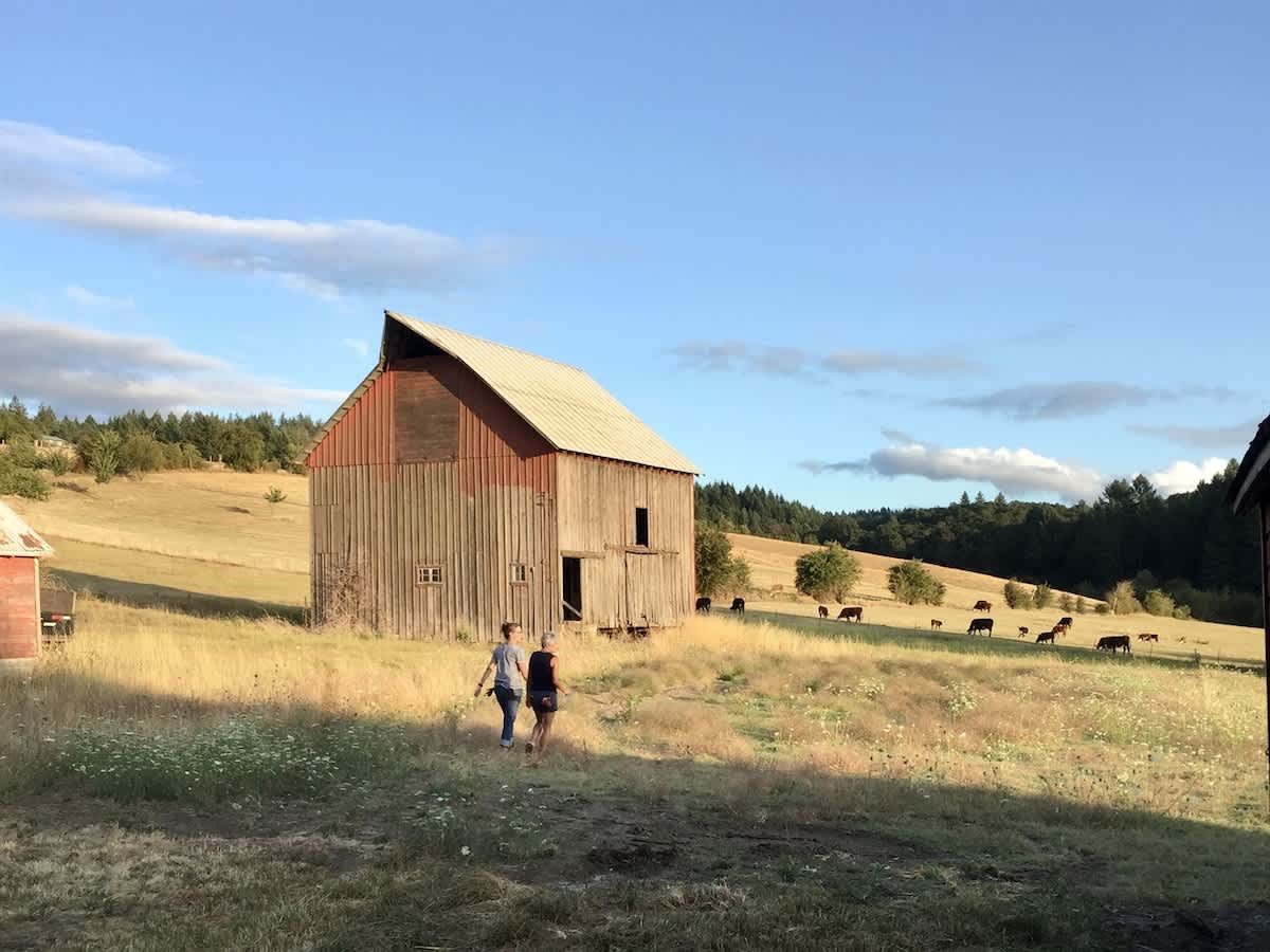 Two people walk across a sun-drenched grassy field towards a rustic wooden barn with a red roof, surrounded by rolling hills, distant trees, and grazing cattle under a blue sky with scattered clouds.
