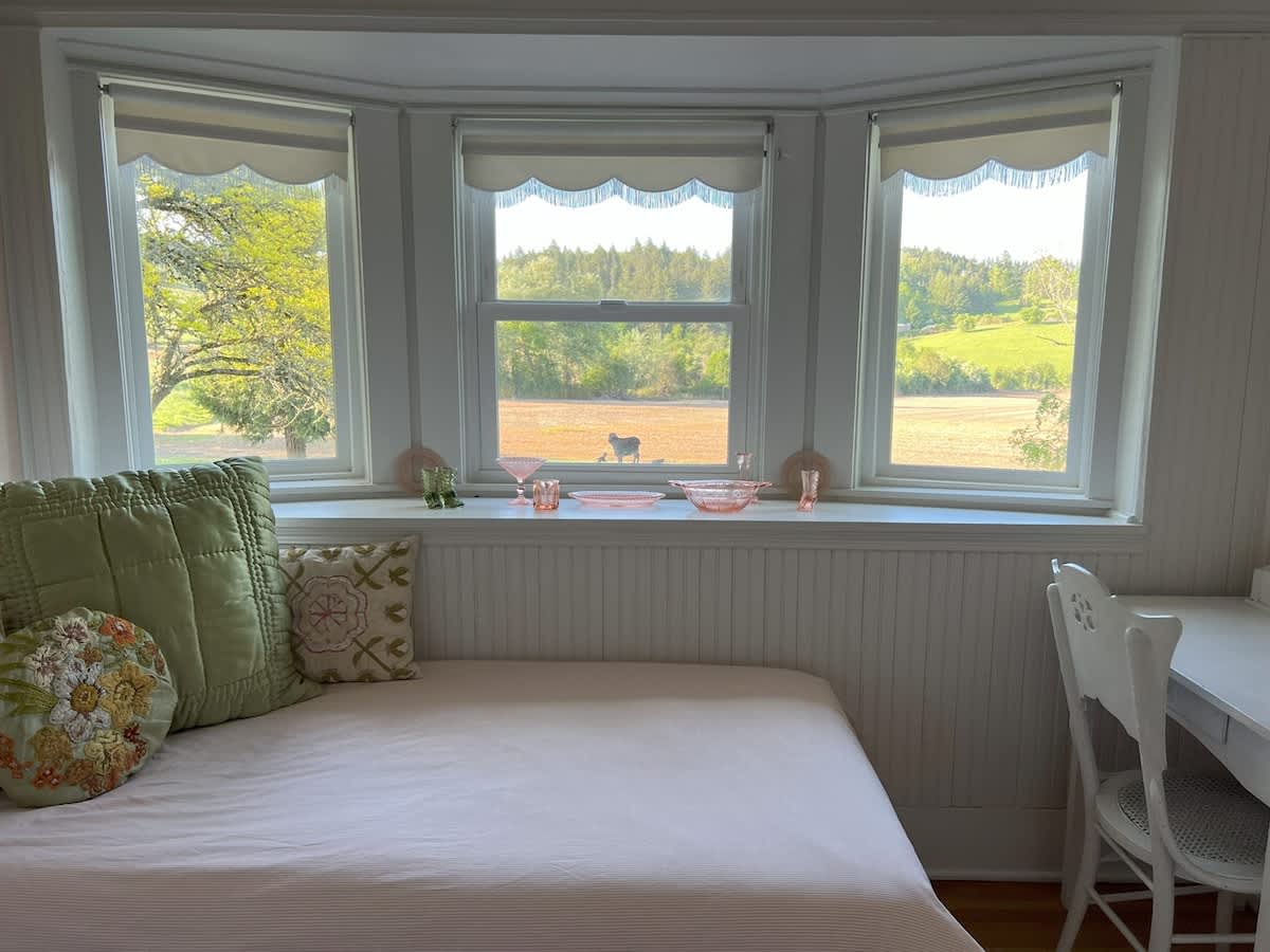 A bright room with a bay window featuring three large windows, offering a view of trees and a field. A daybed with light pink bedding and green pillows is positioned under the windows, next to a white desk and chair.
