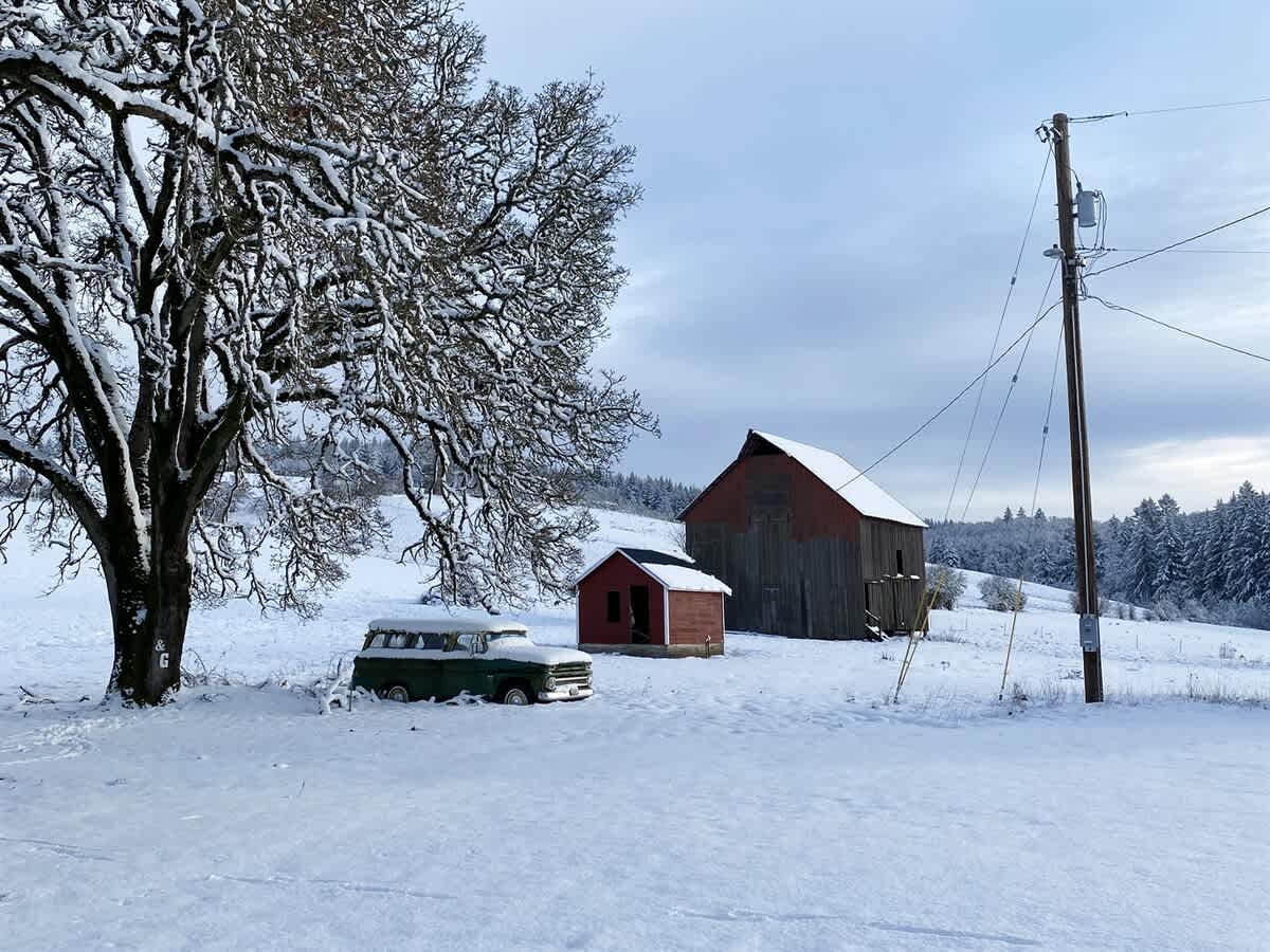 A serene winter landscape features a snow-covered vintage green vehicle, a small red shed, and a rustic wooden barn, all nestled in a field blanketed with fresh snow under a cloudy sky, with a large, bare, snow-dusted tree on the left.
