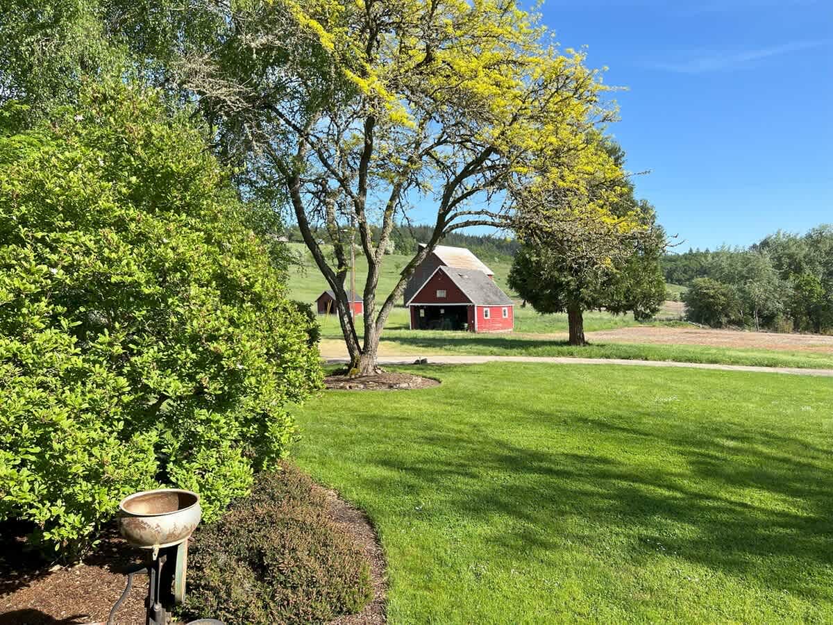 A vibrant green lawn with a large, leafy tree in the foreground frames a distant red barn with a white roof, nestled in a rural landscape under a bright blue sky.