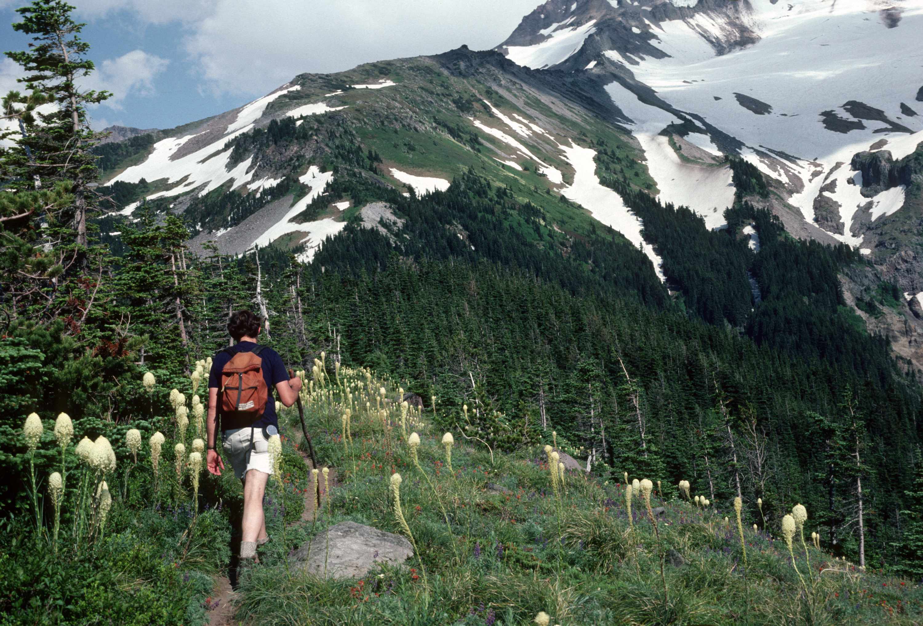 Cozy Mt Hood BaseCamp - Mt Air Unit 10, photo 49 of 60
