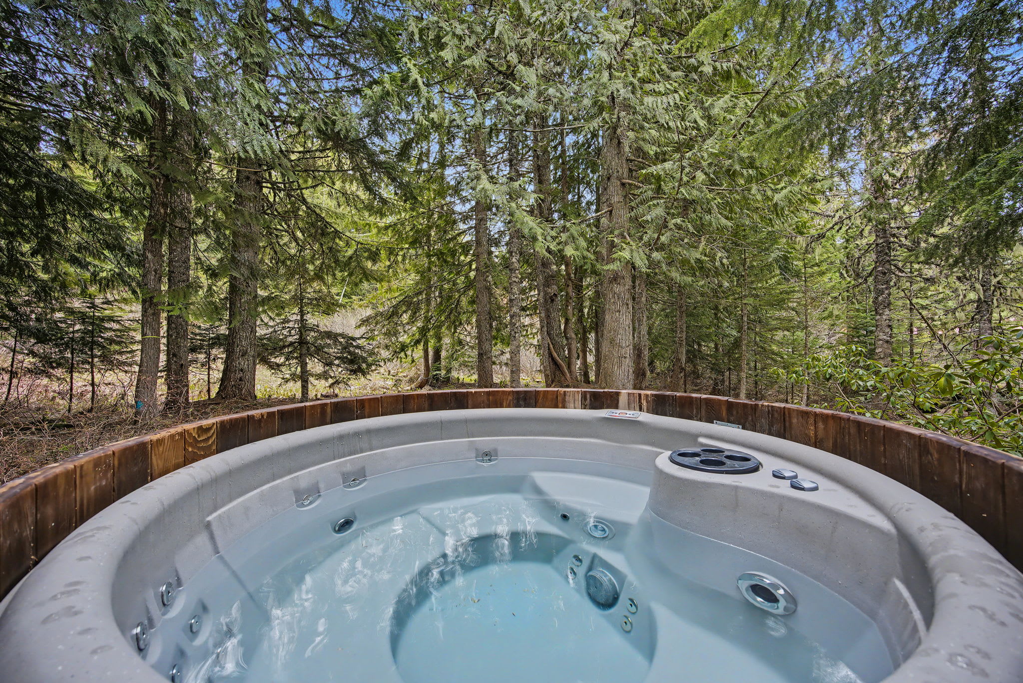 Holzhutte - Mid-century alpine retreat - Hot tub, photo 2 of 71