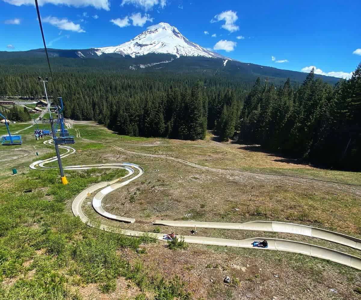 In the summer Skibowl has all sorts of adventures including: alpine slides, disc golf, rock climbing, mountain biking, batting cages, aerial park, and more!