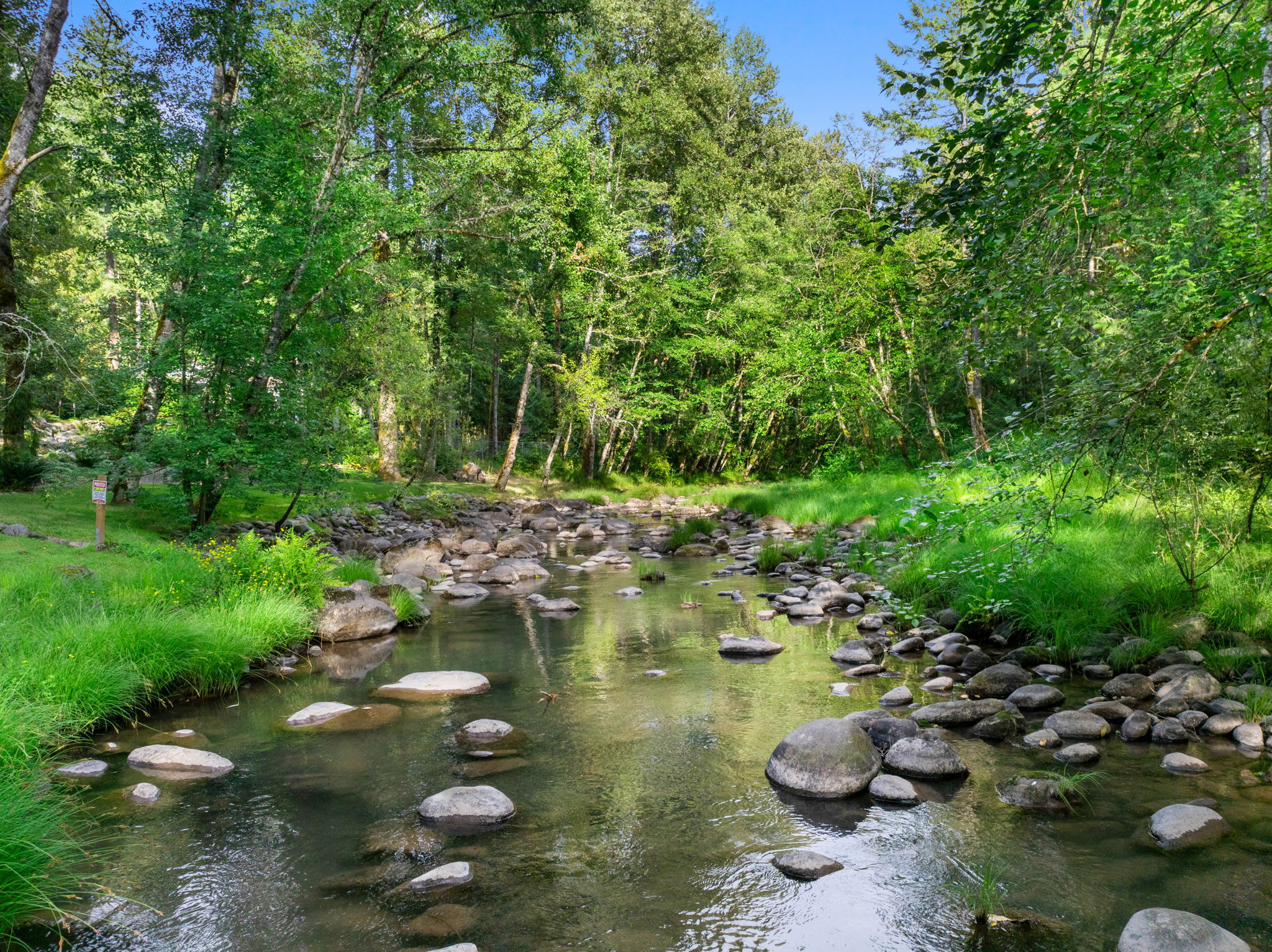 Howard's Hideaway Riverfront Pet Friendly Cabin  — photo 4