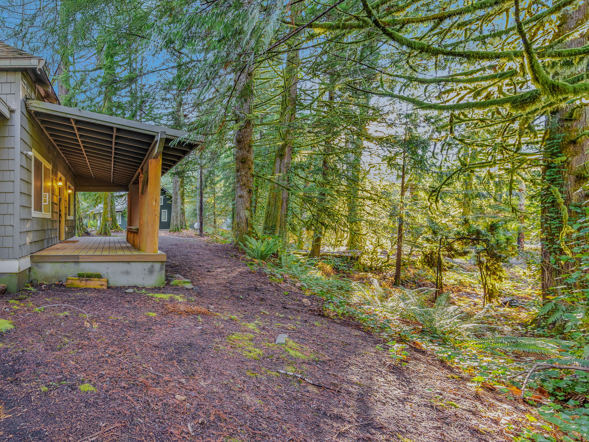 Lolo Bear Cabin Rustic Pets OK Mt Hood retreat — photo 5