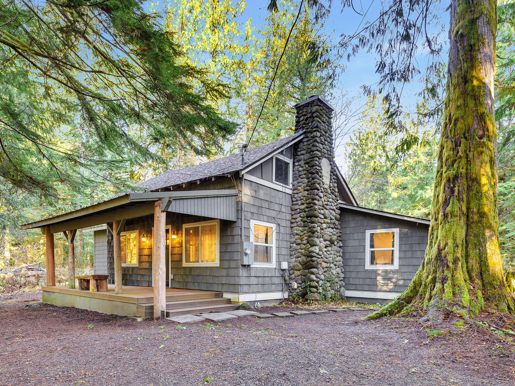 Lolo Bear Cabin Rustic Pets OK Mt Hood retreat — photo 1