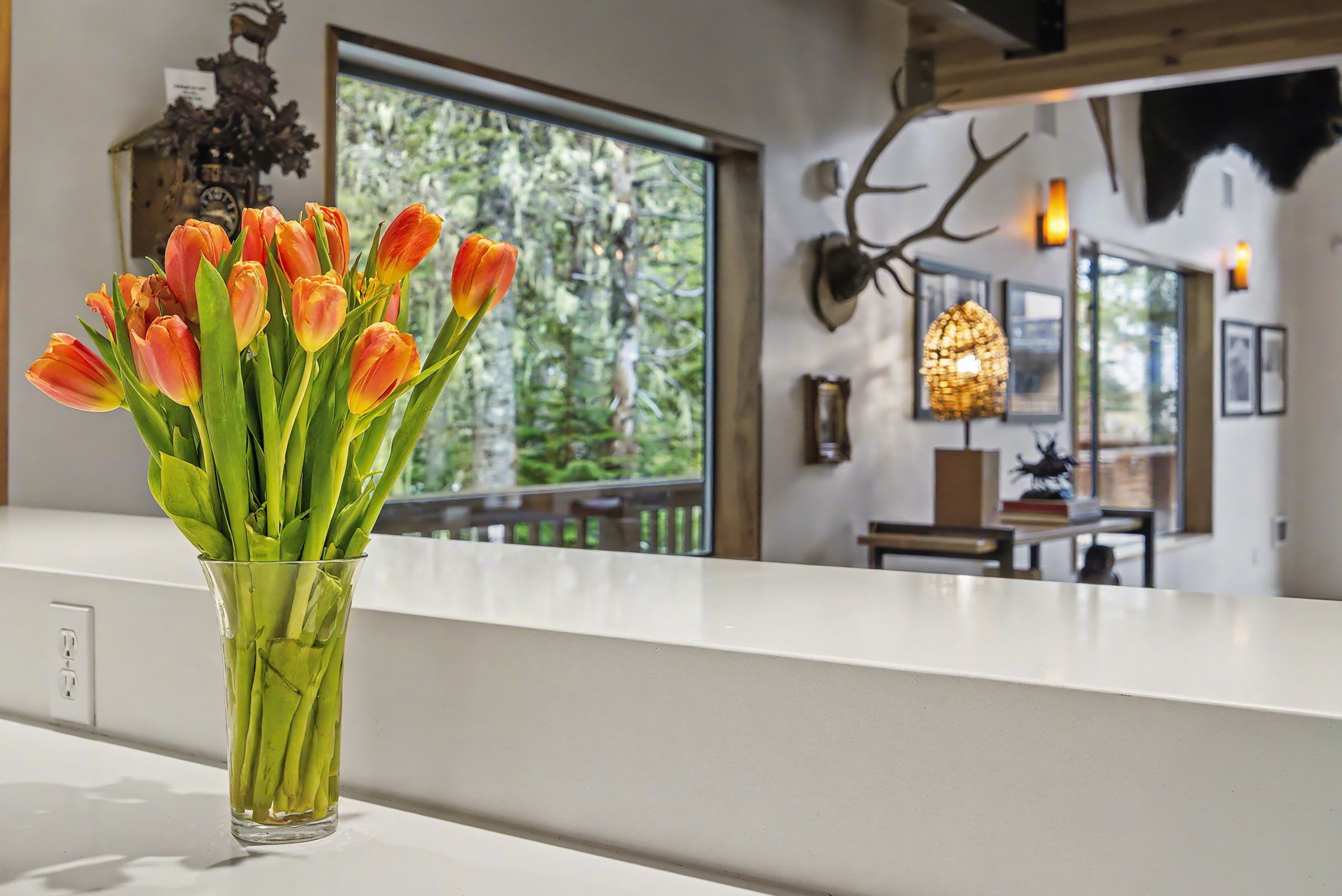 Modern kitchen with light wood cabinetry, white countertops, and stainless steel appliances including a gas range with a hood. A glass door leads to an outdoor deck surrounded by tall evergreen trees.