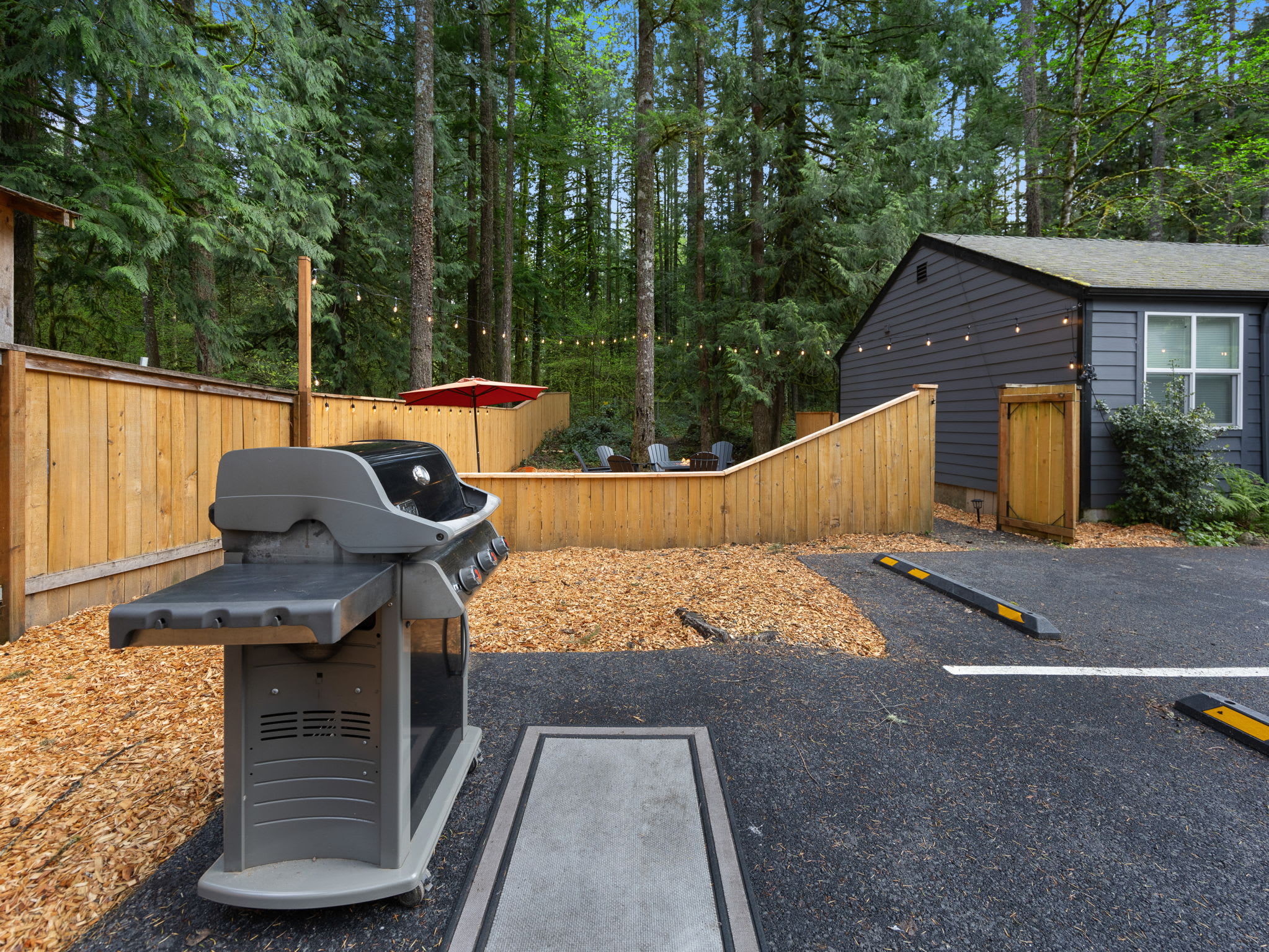 Pet-Friendly, Near Trails - Cozy Mt Air Motel 9 — photo 5