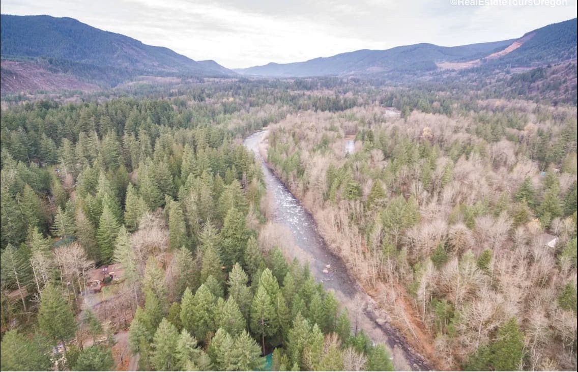 Springbrook Cabin 2BR Retro Charm w Fireplace — photo 5