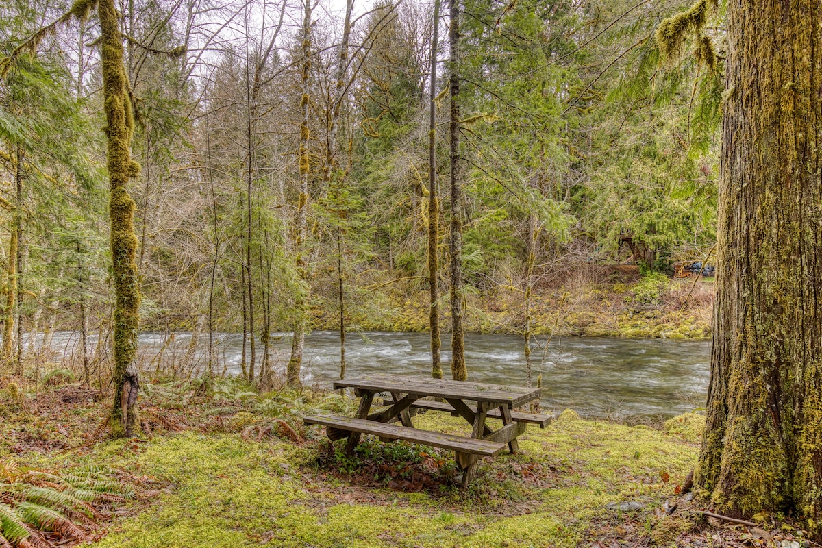 Thompson Cabin -  Salmon River Cabin & Fire Pit, photo 3 of 66