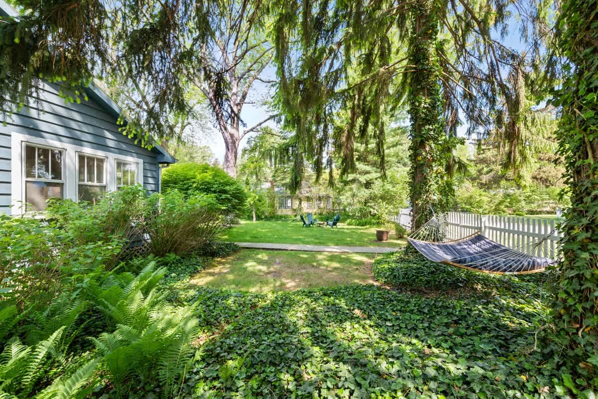 A blue and white striped hammock hangs between two ivy-covered trees in a lush, shaded backyard, with ferns and ground cover leading to a sunnier lawn area in the distance.