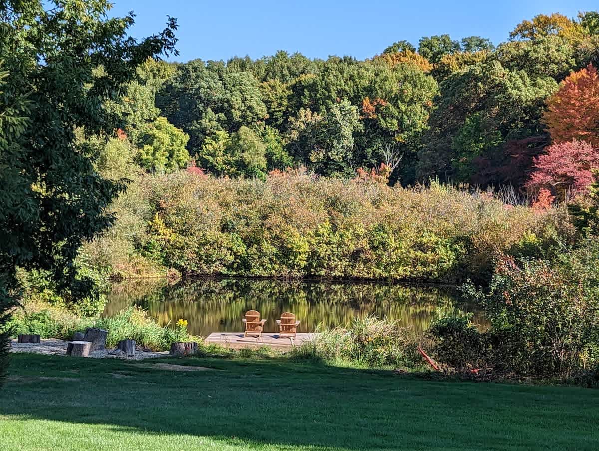 A serene pond features a small wooden dock with two Adirondack chairs, nestled amidst dense, colorful autumn foliage and green grass, reflecting the surrounding trees under a clear sky.