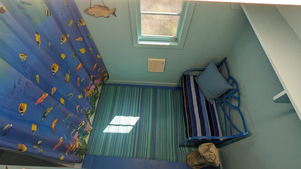 An overhead view of a light blue bathroom shower area with a vibrant fish-themed shower curtain, a small skylight window, and a blue striped bench on a matching striped rug.