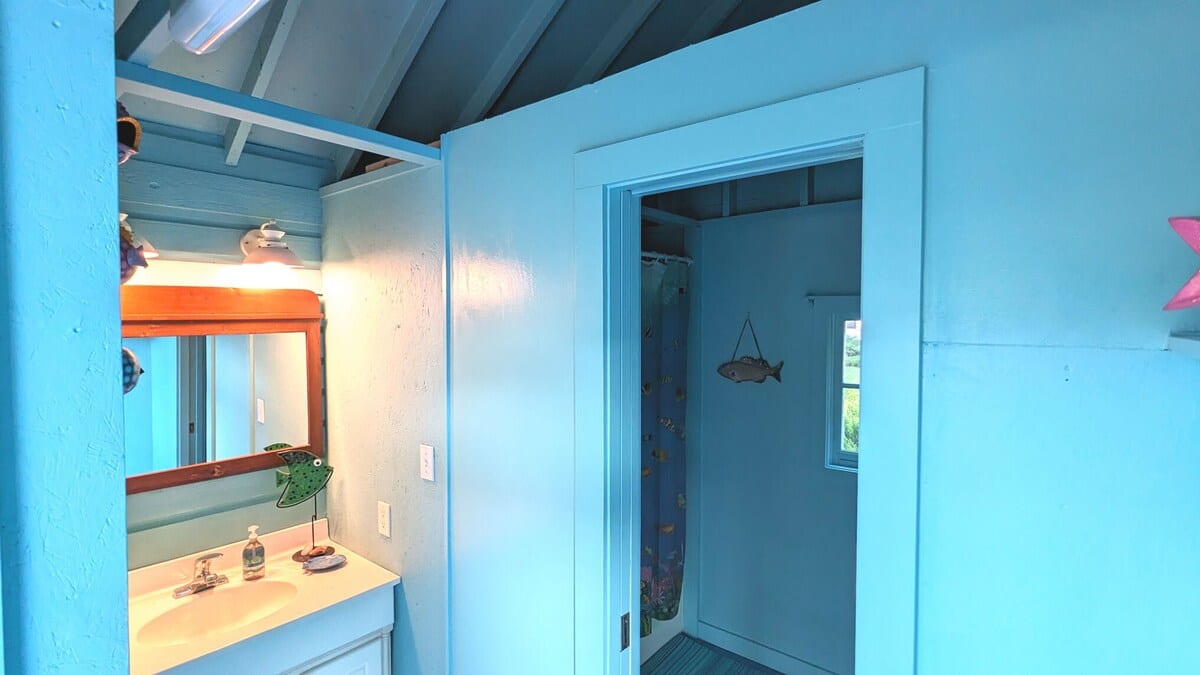 A light blue bathroom featuring a white vanity with a sink, a wooden-framed mirror, and a doorway leading to a shower area with a colorful fish-themed curtain.