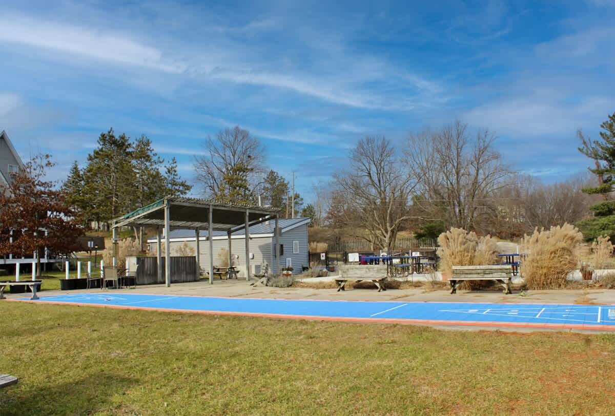 Outdoor shuffleboard court with blue lines on a paved surface, flanked by wooden benches and a covered pavilion, surrounded by dry grasses and bare trees under a partly cloudy sky.