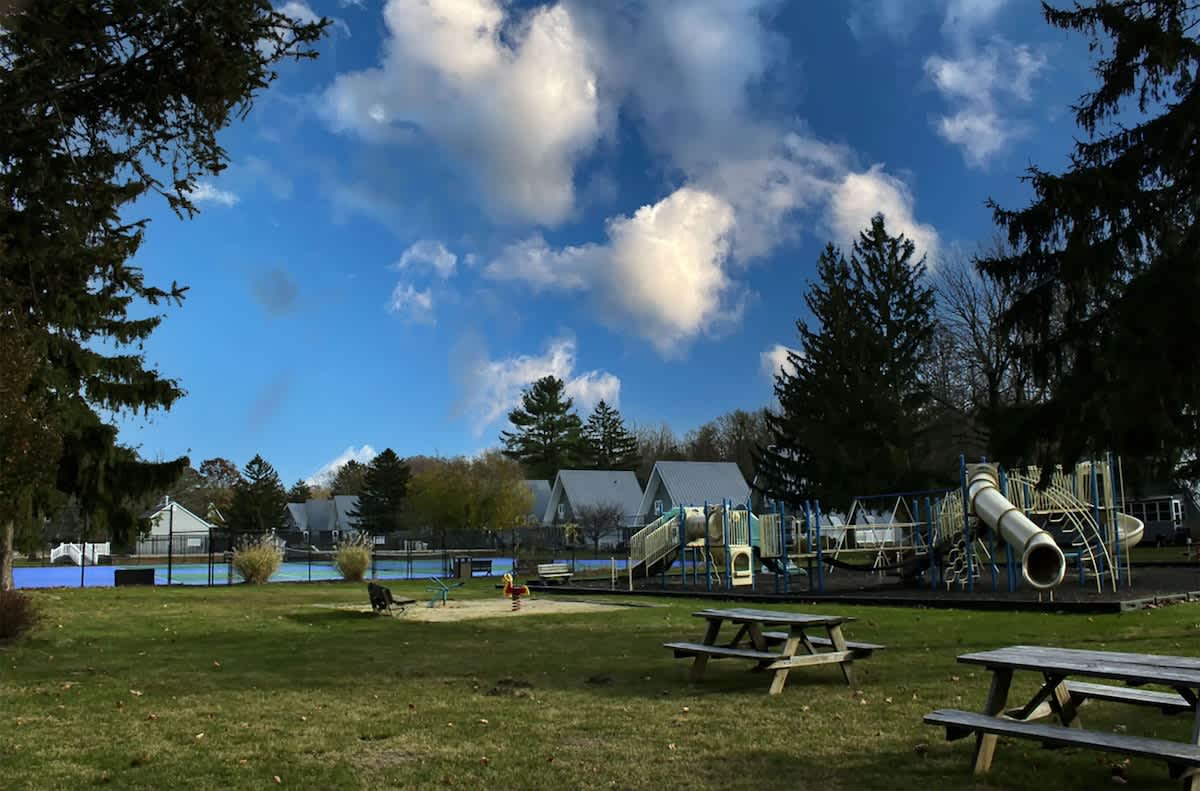 Yard