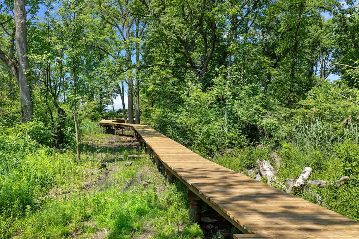 A long, winding wooden boardwalk path extends through a dense, vibrant green forest, leading towards a distant, unseen destination. The path is surrounded by lush foliage and tall trees under a bright sky.