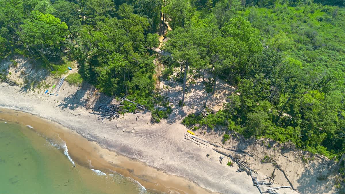 Aerial view of a secluded sandy beach with light waves, featuring several yellow kayaks and large pieces of driftwood scattered along the shore. The beach is backed by a lush green treeline under a bright sky.