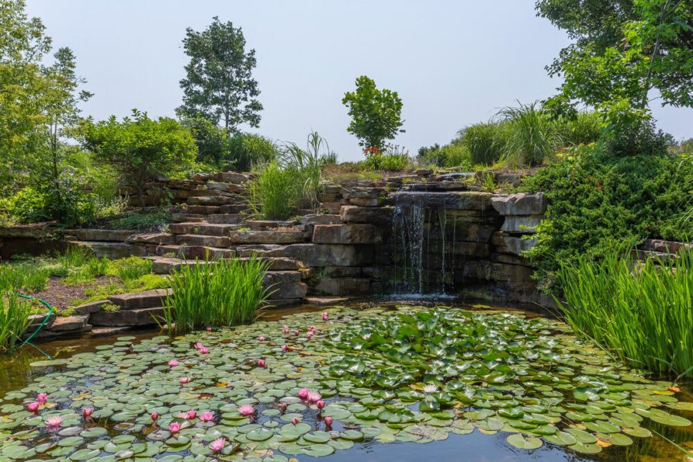 A serene garden features a multi-tiered rock waterfall cascading into a tranquil pond, abundant with green lily pads and delicate pink water lilies, surrounded by lush foliage and natural stone steps.