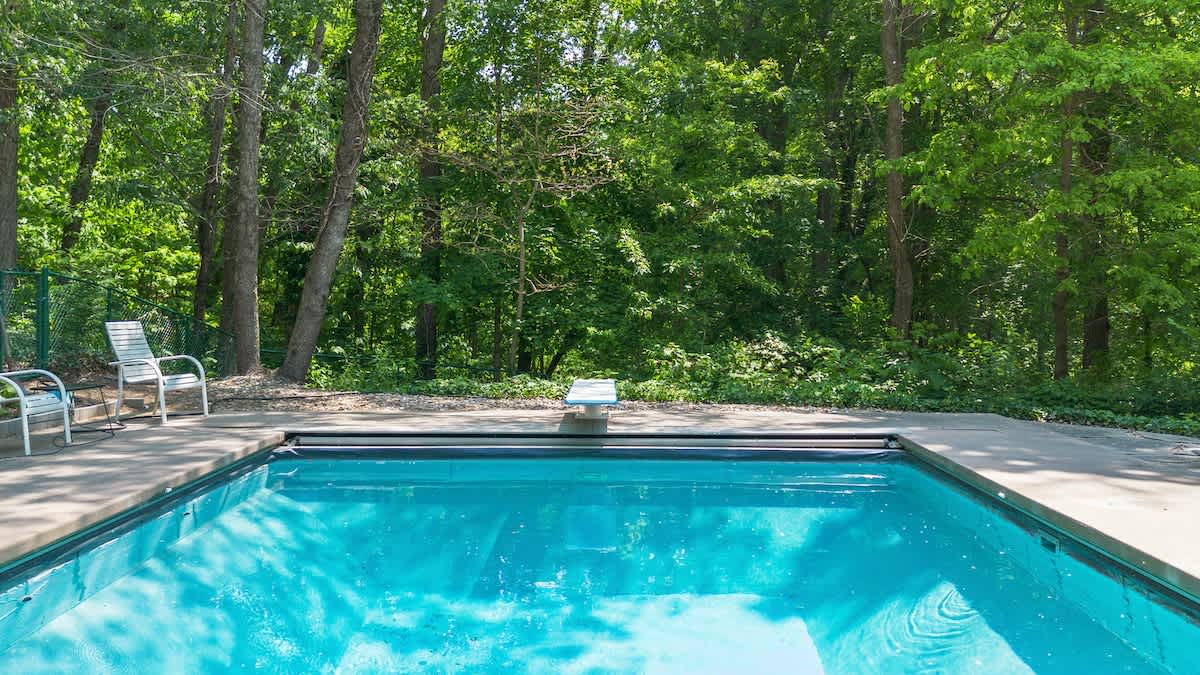 A clear blue rectangular swimming pool with a diving board at one end, bordered by concrete paving, and backed by a lush, dense forest of green trees.