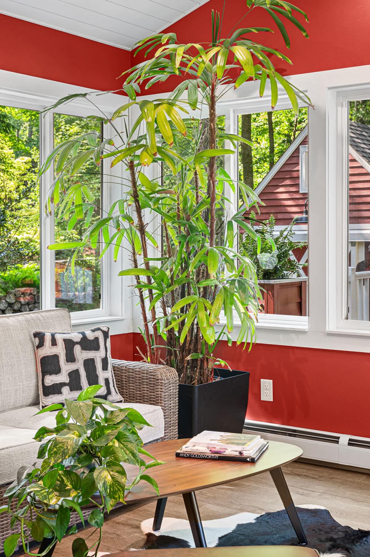 Close-up of the sunroom showing a tall, lush potted plant next to a light-colored sofa with patterned pillows. A wooden coffee table holds books and a decorative tray, with large windows revealing a wooded outdoor view.