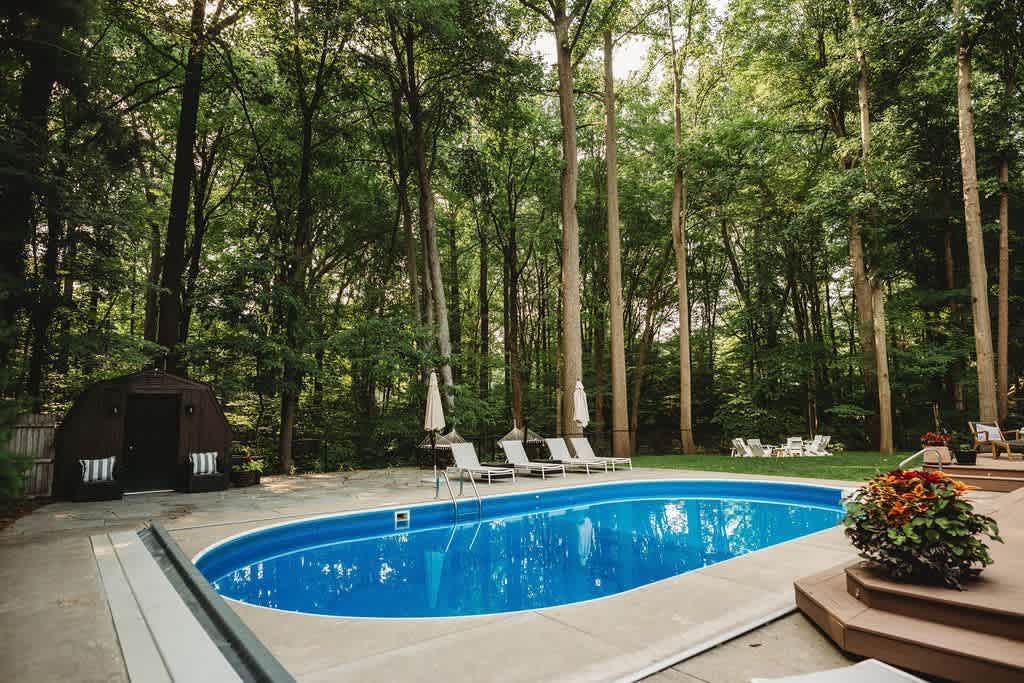 Large kidney-shaped swimming pool with a concrete patio, surrounded by a vast, verdant backyard with tall, mature trees creating a private, natural setting. A small shed is visible in the background.