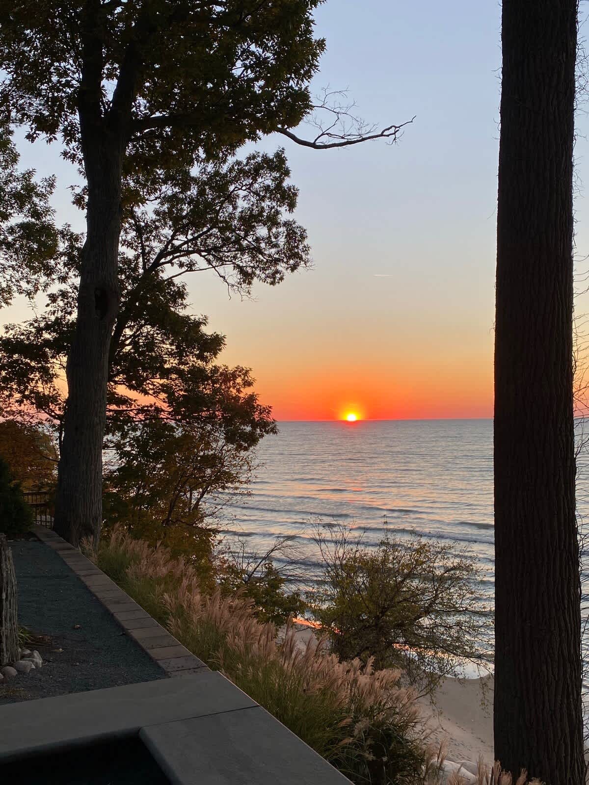 A vibrant orange sunset dips below the horizon of a vast body of water, with a sandy beach and tall grasses visible below. The scene is framed by dark tree trunks and foliage.