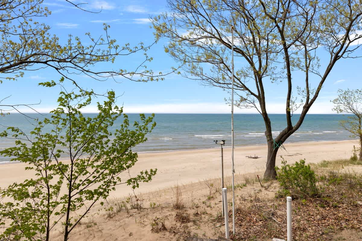 A serene view of a sandy beach and the calm ocean from a slightly elevated perspective, framed by green trees and bushes under a clear blue sky.