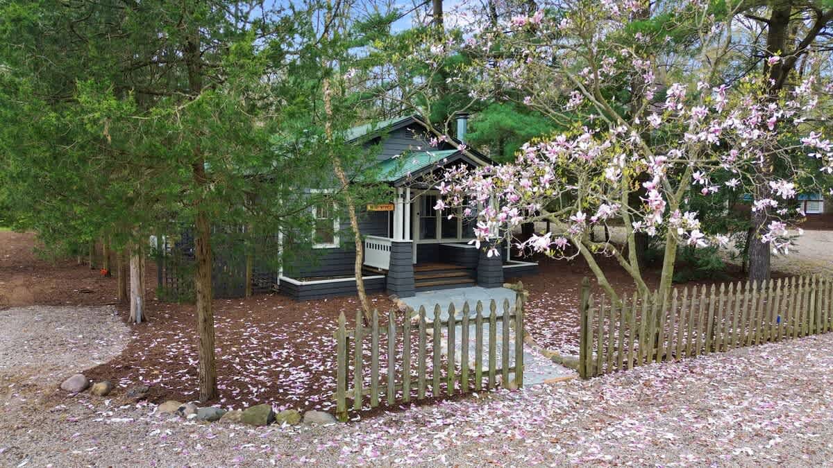 Charming dark gray house with a green roof, partially hidden by trees, features a small picket fence and a blooming magnolia tree in the front yard. Pink petals are scattered on the ground.