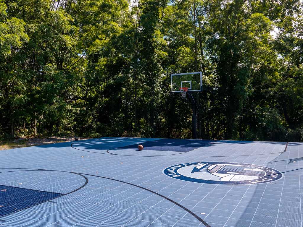 A vibrant blue outdoor basketball court with white markings and a central logo is set against a backdrop of dense green trees, featuring a basketball hoop and a ball resting on the court.
