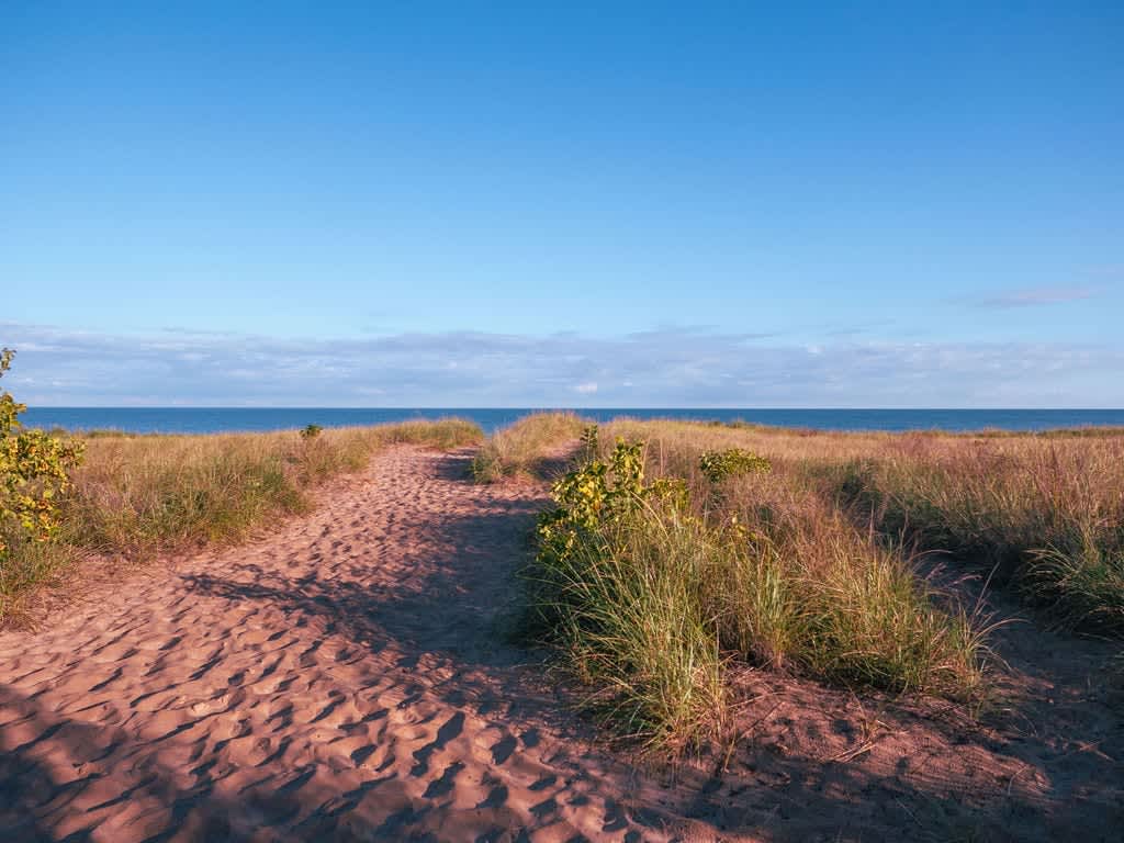 A sandy path winds through tall green and yellow grasses, leading towards a calm blue body of water under a clear blue sky, suggesting access to a beach or lake.
