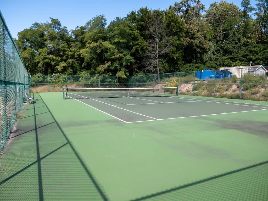 Outdoor green tennis court with white lines, surrounded by a chain-link fence, with a net in the center and green trees in the background under a clear sky.