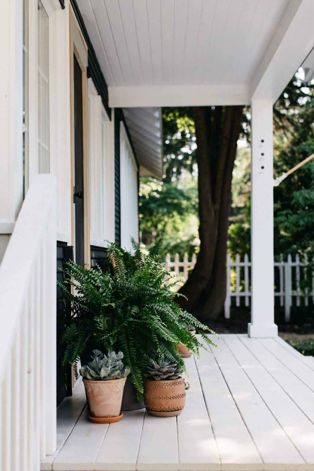 Side view of a white-painted porch with a railing, featuring potted ferns and succulents, leading towards a dark-sided house with white trim, surrounded by trees.