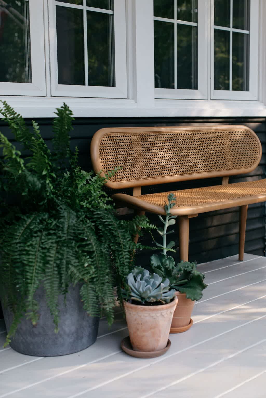 Inviting front porch with a stylish wooden bench featuring a cane back, flanked by large potted ferns and succulents, against a dark house exterior with white trim windows.
