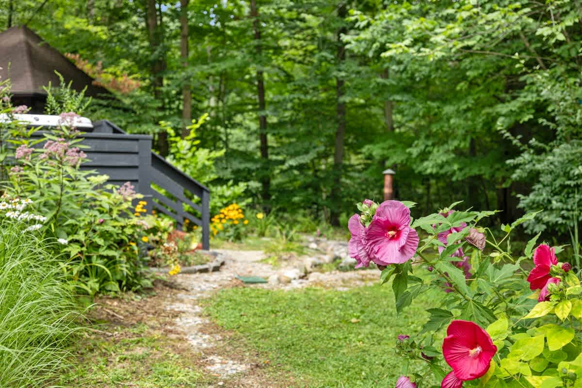 A winding gravel path leads through a vibrant garden with pink and yellow flowering plants, lush green foliage, and a dark gray wooden railing, with a dense forest in the background.