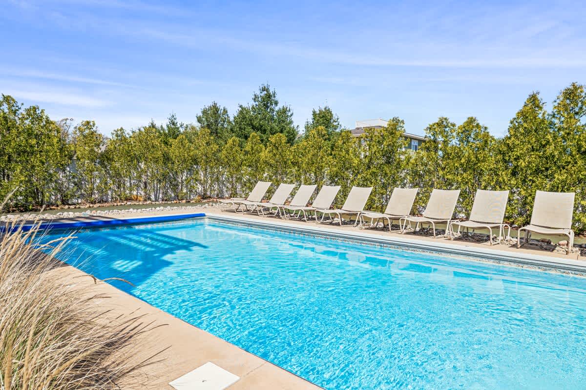 An inviting rectangular outdoor swimming pool with a blue cover partially visible, surrounded by a concrete deck and several light-colored lounge chairs. A tall hedge of green trees provides privacy in the background under a clear blue sky.
