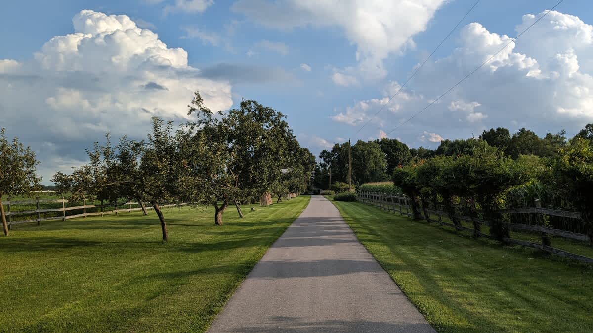 A long paved driveway extends through a grassy field lined with small trees and a wooden fence, under a bright blue sky with fluffy white clouds. Power lines are visible in the distance.