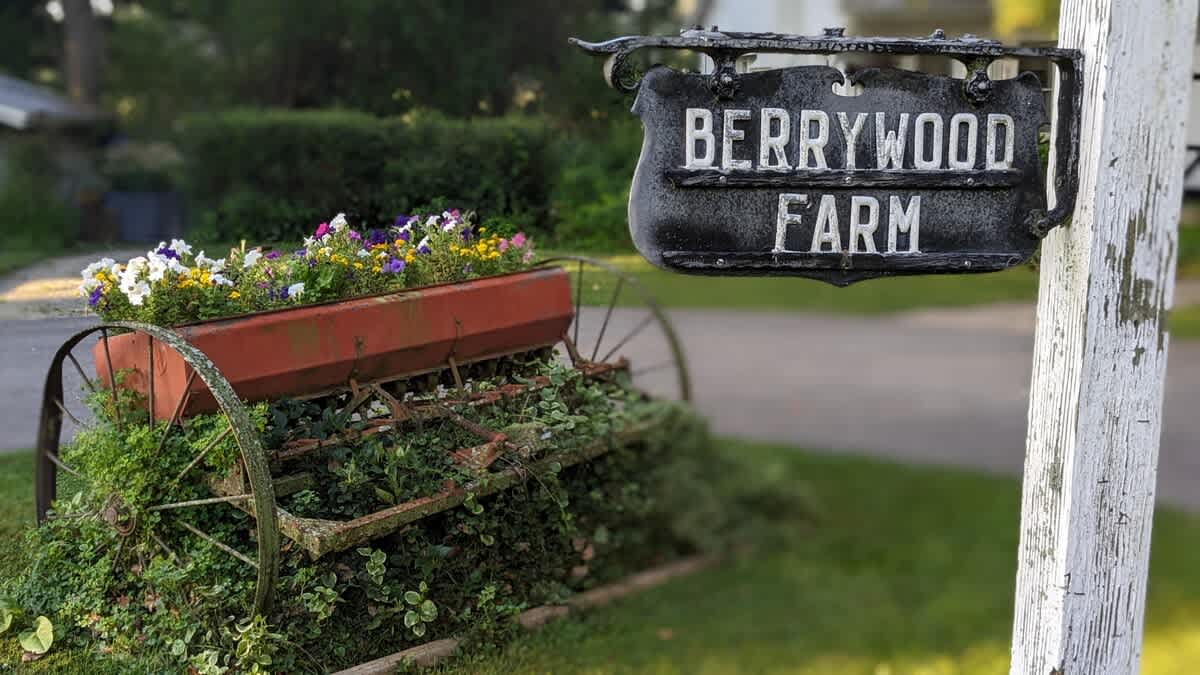 A rustic black metal sign with "BERRYWOOD FARM" in white lettering hangs from a white post, next to an antique farm implement repurposed as a planter filled with colorful flowers and greenery.