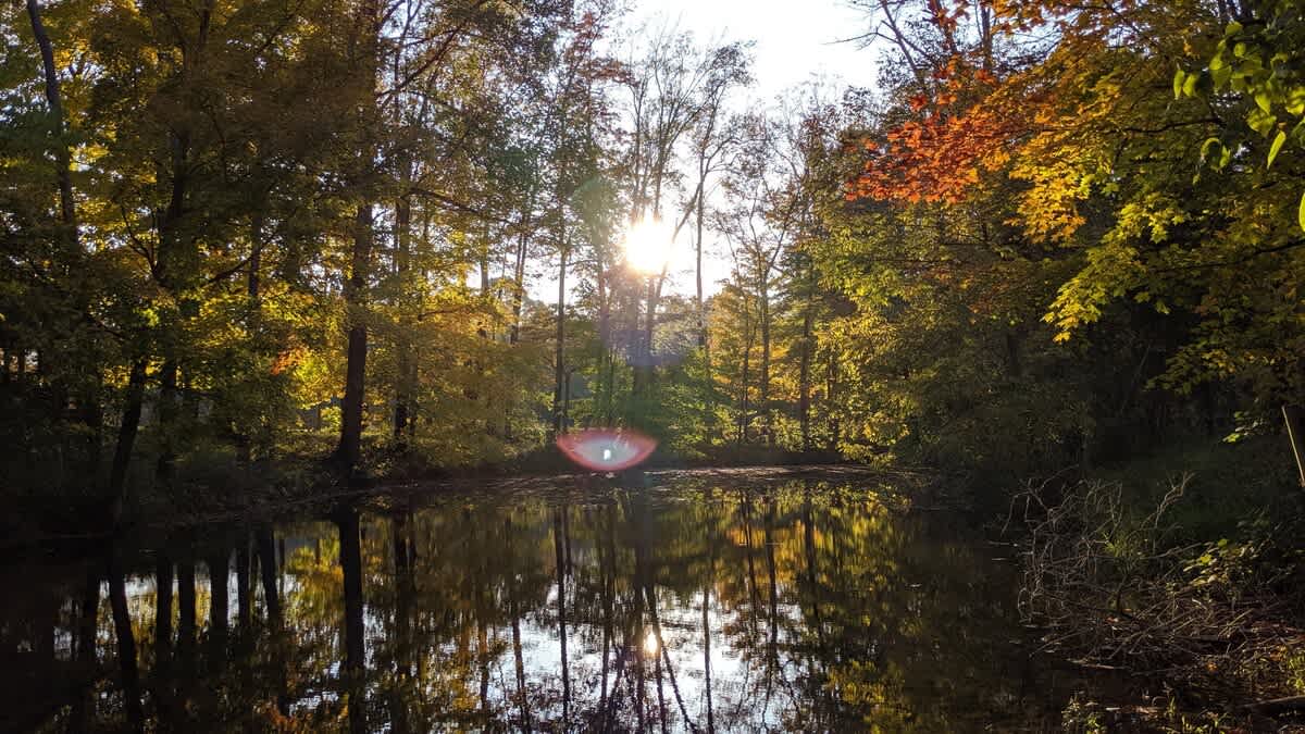 A serene pond reflects the surrounding autumn trees, with bright sunlight filtering through the colorful foliage, creating a lens flare effect on the water.