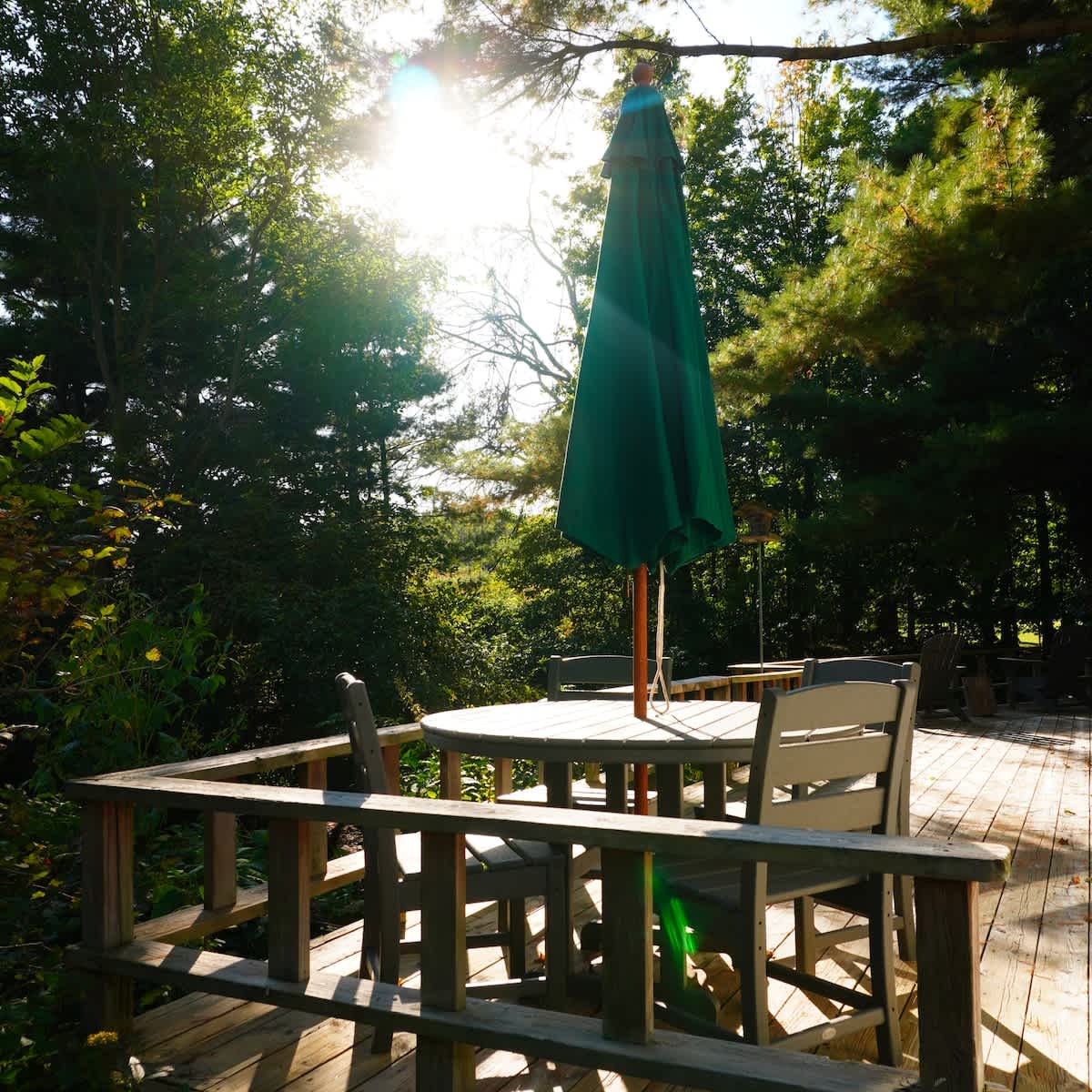 A wooden deck with a round dining table and four chairs, shaded by a large green umbrella, set amidst a lush green wooded area. Sunlight filters through the trees, highlighting the outdoor dining space.