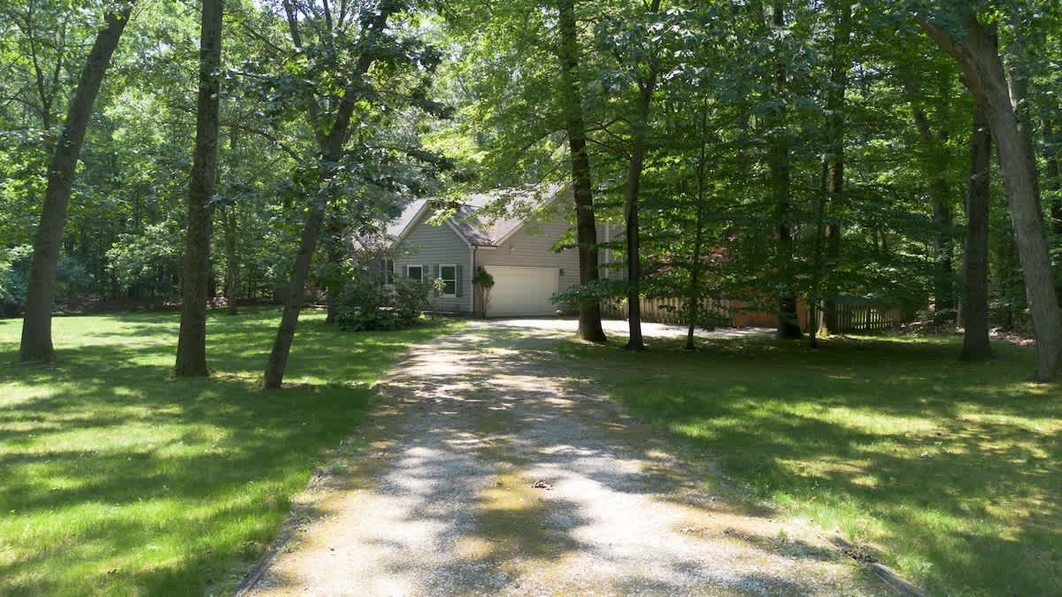 A long, gravel driveway winds through a dense, lush forest towards a gray-sided house with a white garage door, partially visible through the trees on a sunny day.