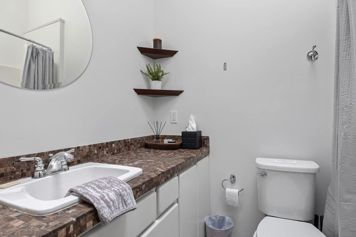 A bright bathroom with a white sink set into a brown speckled countertop, a large round mirror above, and a toilet next to the vanity. Two dark wooden corner shelves with a plant and a white tissue box are visible on the light gray wall.