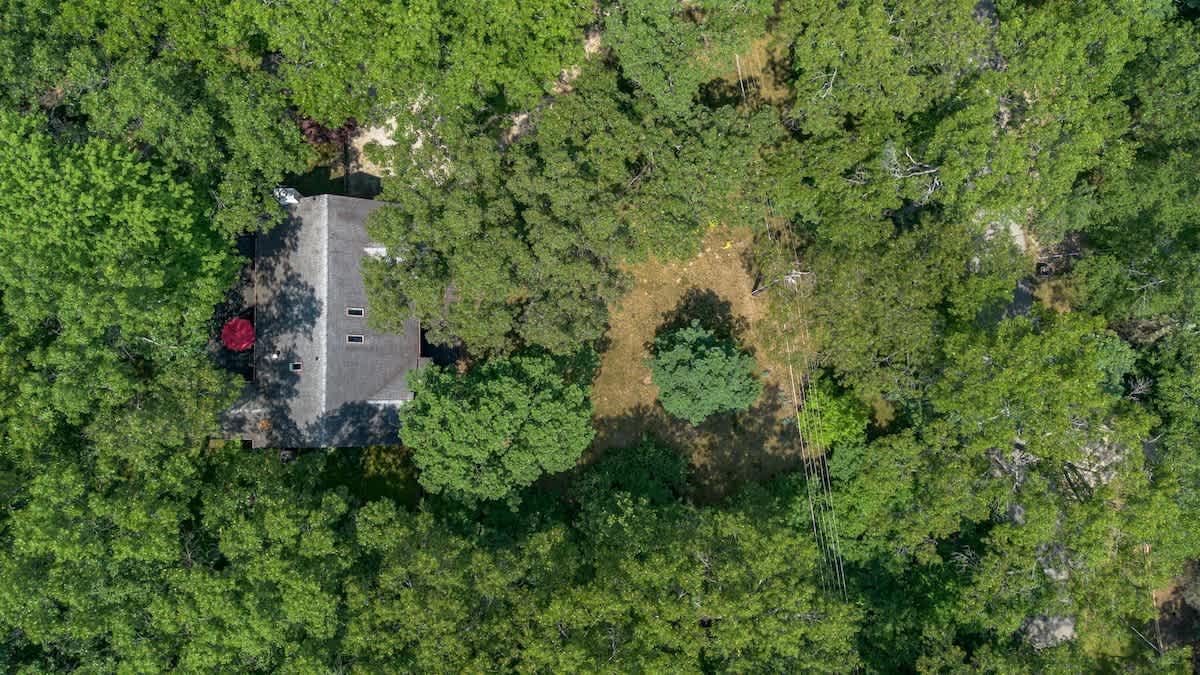 An aerial view showcases the house's roof, partially obscured by a dense canopy of green trees, highlighting the secluded, wooded setting of the property.