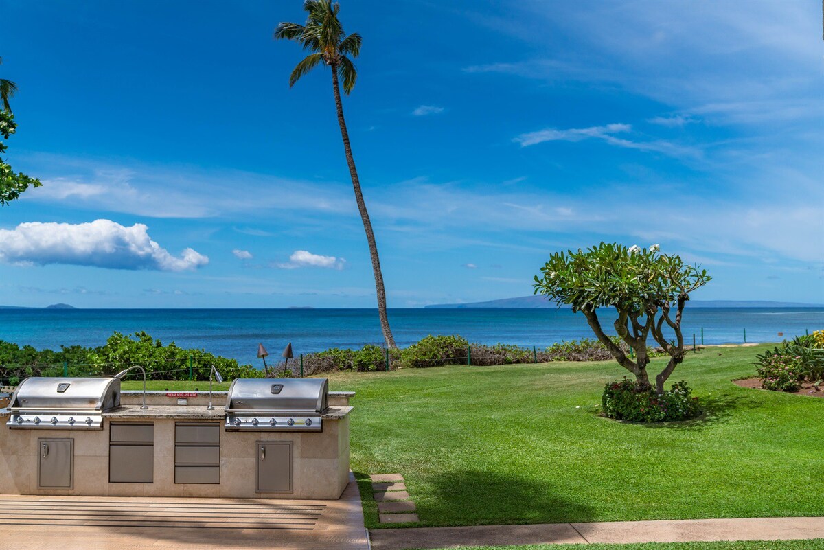 BBQ Grill Area