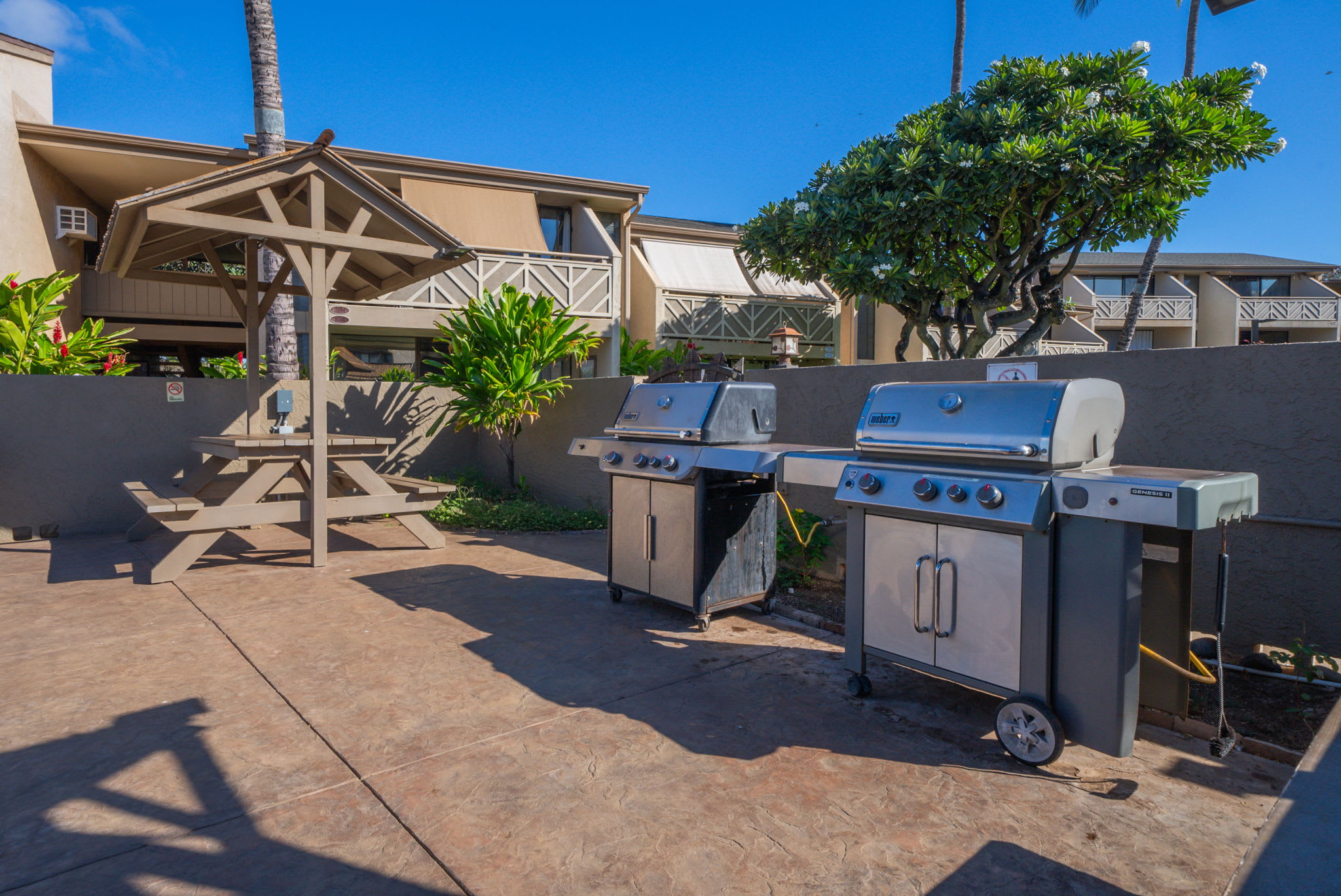Community BBQ Area