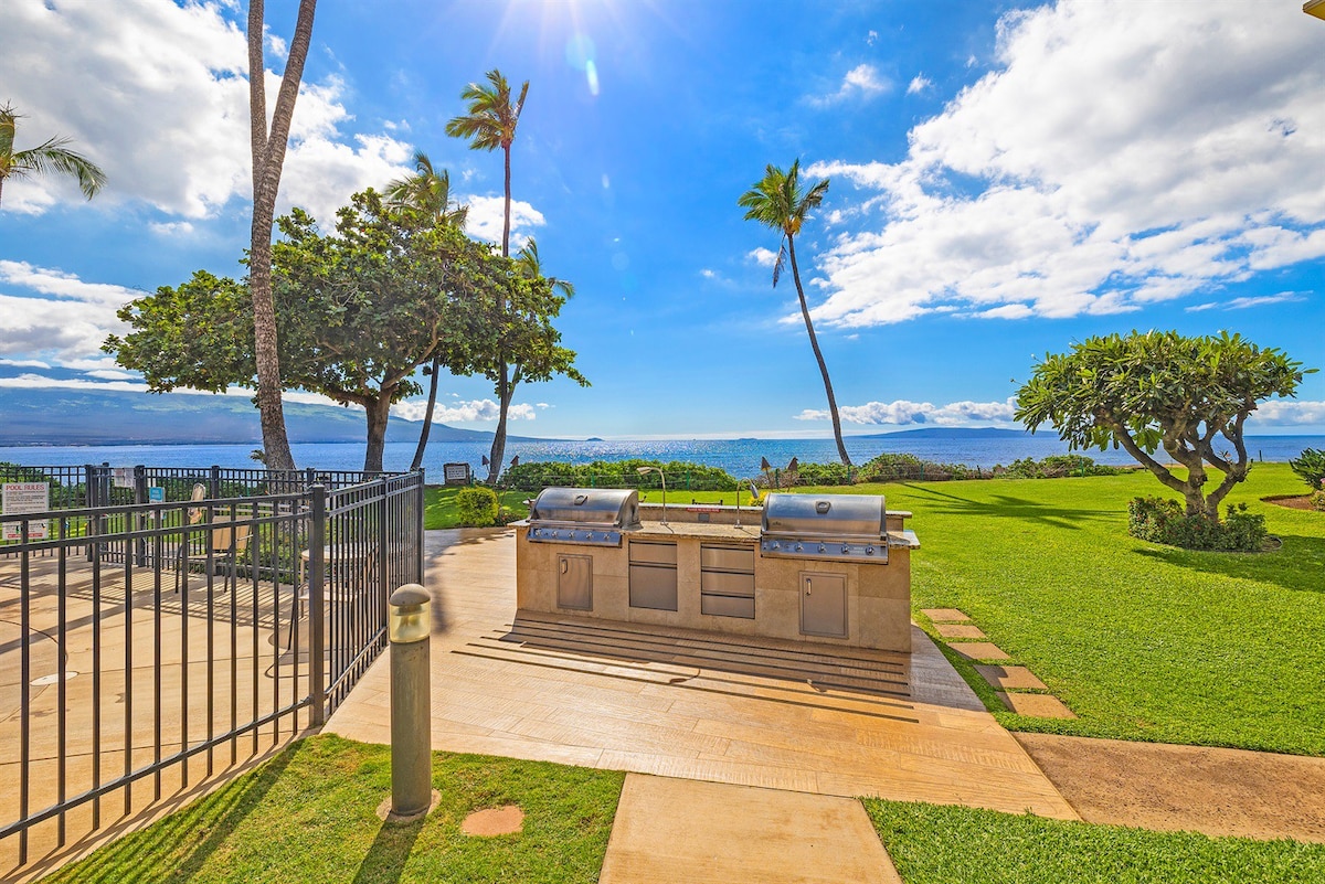 BBQ Grill Area