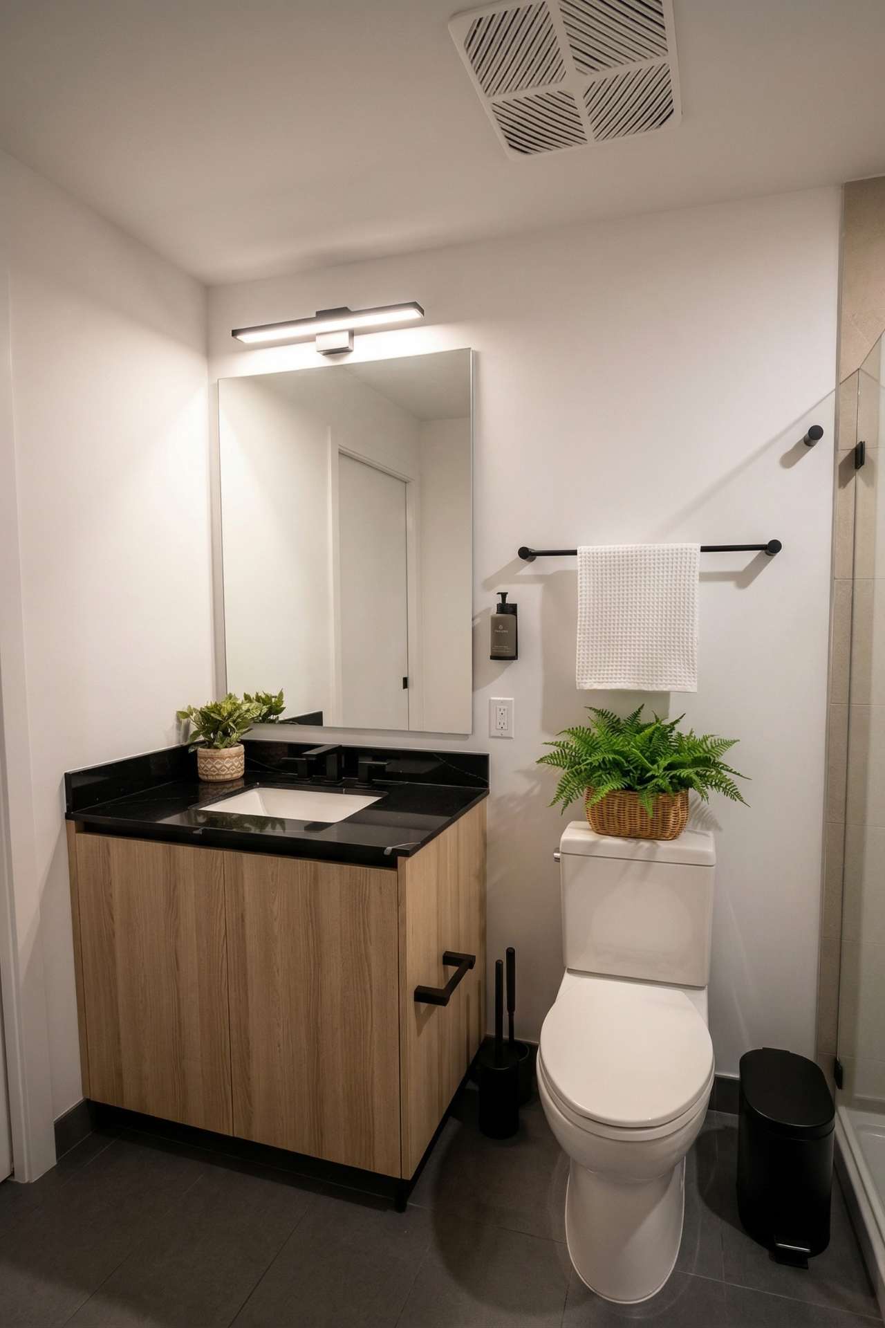 A clean, modern bathroom featuring a light wood vanity with a black countertop and a rectangular sink. A large mirror, wall-mounted light, and toilet are visible, with a plant adding a touch of greenery.
